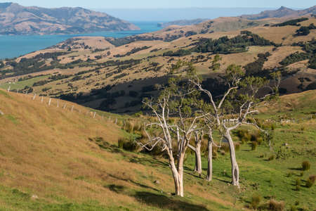 pastures above Banks Peninsulaの写真素材
