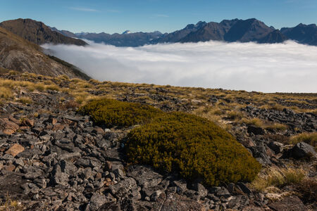 inversion in Fiordland National Park, New Zealandの写真素材