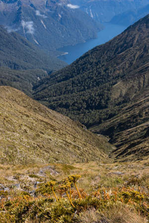 aerial view of lake Te Anau, Fiordlandの写真素材