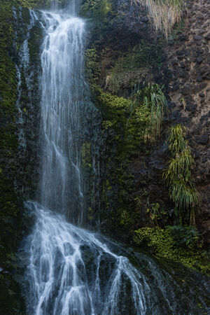 Kitekite falls, Waitakere Ranges, New Zealandの写真素材