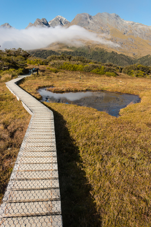boardwalk across wetland in Fiordland, New Zealandの写真素材