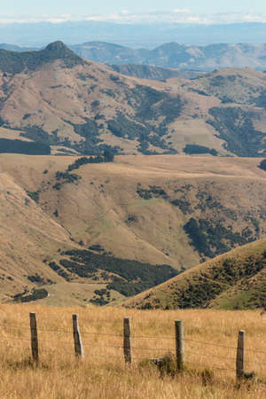 grassy hills at Banks Peninsula, New Zealandの写真素材