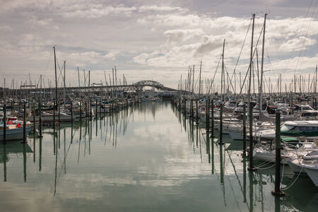 Auckland marina with Harbour Bridge in backgroundのeditorial素材