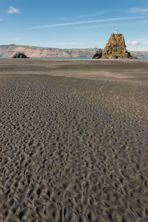 Whatipu beach at low tide, New Zealandの写真素材