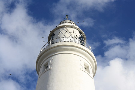 birds perched on the lighthouseの写真素材
