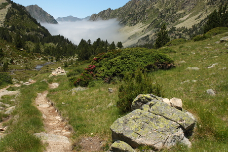 footpath in Pyrenees valleyの写真素材