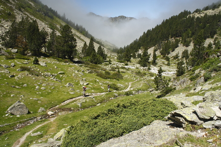 walker in D Aygues-Cluses valley in French Pyreneesの写真素材