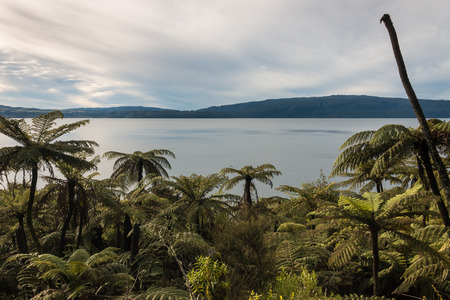 sunset over lake Tarawera in New Zealandの写真素材