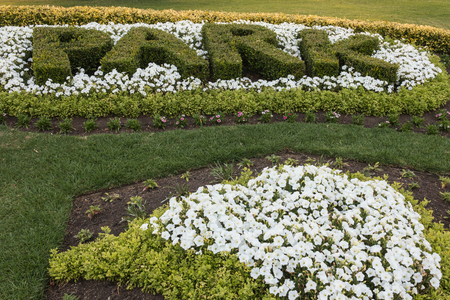 floral display in public park の写真素材