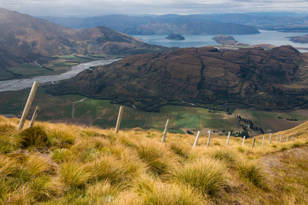 tussock growing above lake Wanakaの写真素材