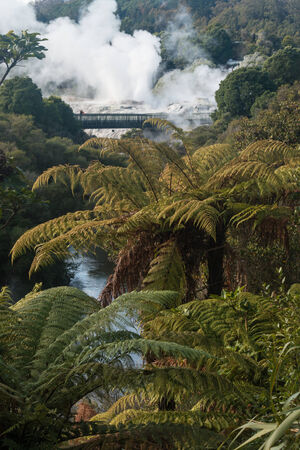geothermal valley in Rotorua, New Zealandの写真素材