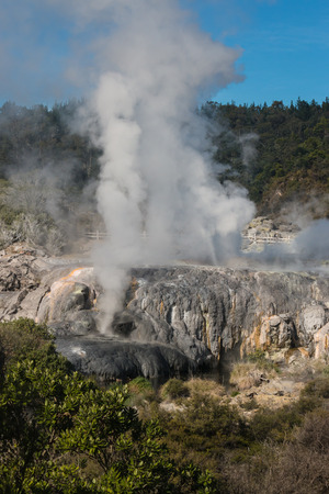 steaming geysers in Rotorua, New Zealandの写真素材