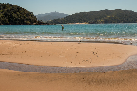surfer in Waikawau Bay, New Zealandの写真素材