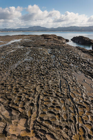 volcanic rock slabs in Omaha Bay, New Zealandの写真素材