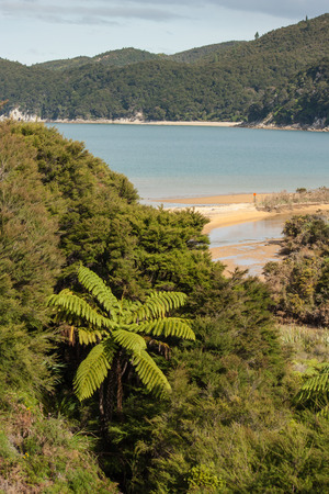sandy beach at Tonga Bay in Abel Tasmanの写真素材
