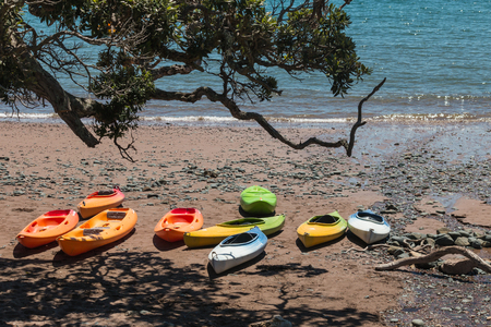 empty kayaks on sandy beachの写真素材