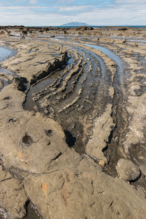 exposed volcanic boulders on New Zealand coastの写真素材