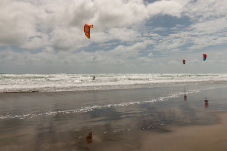 Muriwai beach with kite-surfersの写真素材