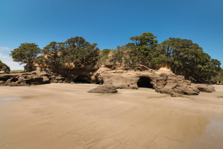 sandy beach with caves at Omaha Bay, New Zealandの写真素材