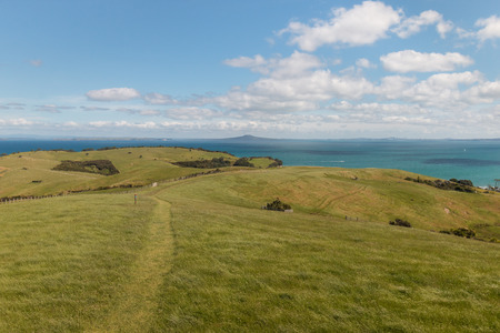 walking track across grassy hills on New Zealand coastの写真素材