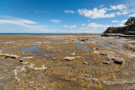tide pools at New Zealand coastの写真素材