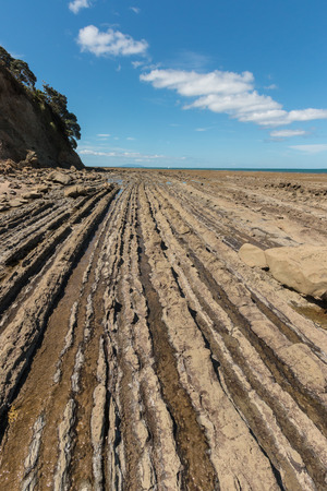 exposed volcanic layers at  New Zealand coastの写真素材