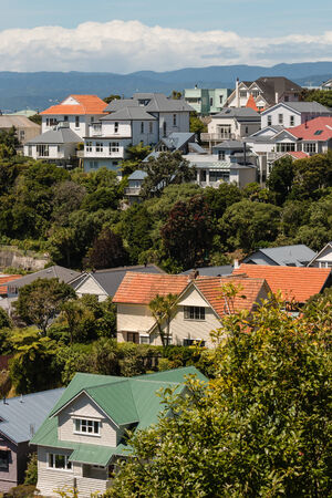 Wellington suburb with traditional wooden housesの写真素材