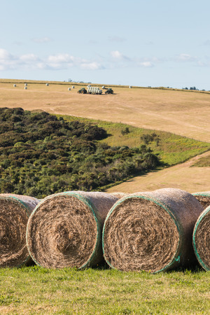 bales of hay with tractors in backgroundの写真素材