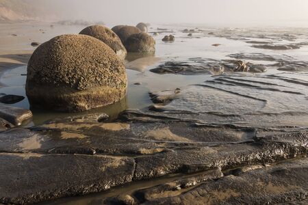 Moeraki boulders at low tideの写真素材
