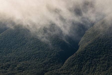 vapour rising from forested slopesの写真素材