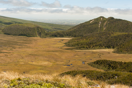 Ahukawakawa swamp in Egmont National Parkの写真素材