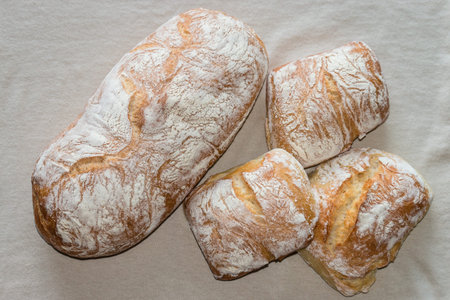 ciabatta bread and buns