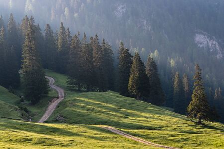 sun rays over forest in Dolomitesの写真素材