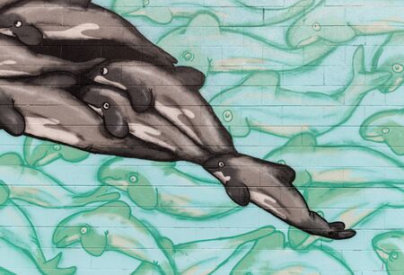 closeup of dolphin graffitiの写真素材