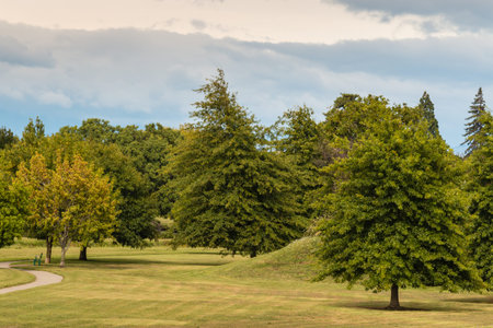 parkland with oak trees in early autumn