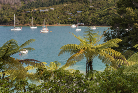 boats moored in Queen Charlotte Sound in New Zealandの写真素材