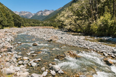 Hamilton River near Nelson Lakes National Park in New Zealandの写真素材