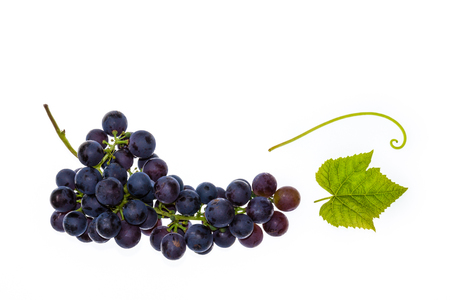 red seedless table grapes with leaf on white backgroundの写真素材