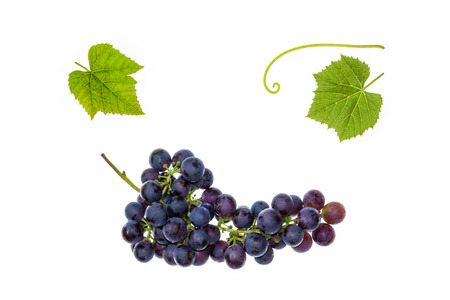 bunch of dark blue table grapes with leaves on white backgroundの写真素材