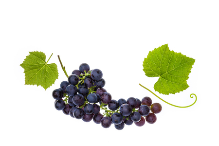 bunch of Pinot Noir grapes with leaves isolated on white backgroundの写真素材