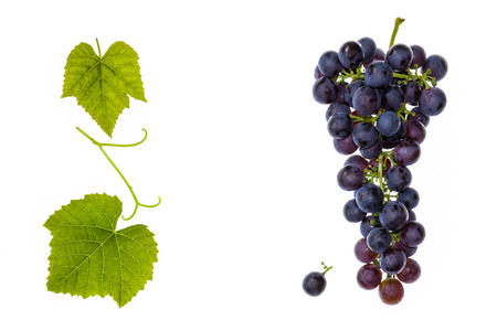 bunch of red grapes with leaves and copy space in middleの写真素材