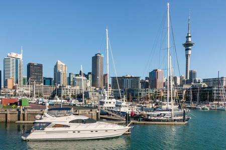 Auckland marina with moored yachts and skyline with Sky Tower in backgroundのeditorial素材