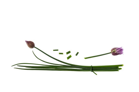 fresh chive stalks on white background with copy space above