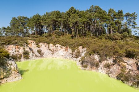 bright yellow sulphur water pond in Waiotapu geothermal area near Rotorua, New Zealandの写真素材