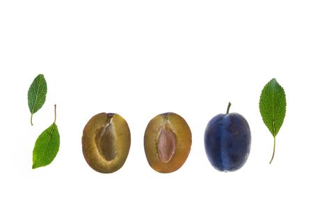 closeup of ripe prune plums and leaves isolated on white backgroundの写真素材
