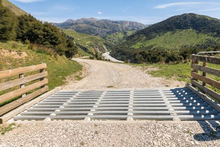 gravel road with catlle stop accross hilly farmland in New Zealandの写真素材