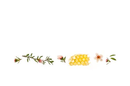 honeycomb with pure manuka honey and manuka tree flowers isolated on white backgroundの写真素材