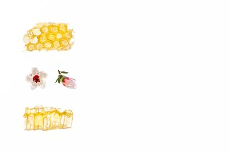 honeycomb with pure New Zealand manuka honey and flowers isolated on white backgroundの写真素材