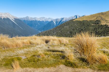 mountain ranges in Nelson Lakes National Park, South Island, New Zealandの写真素材