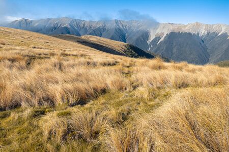Saint Arnaud Range in Nelson Lakes National Park, South Island, New Zealandの写真素材